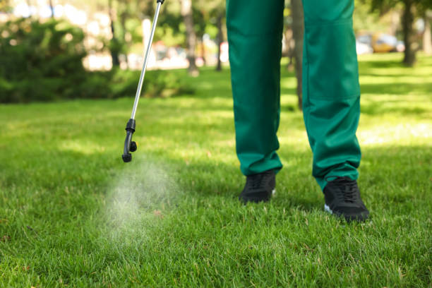 Best Local Pest Control Services  in Fabens, TX