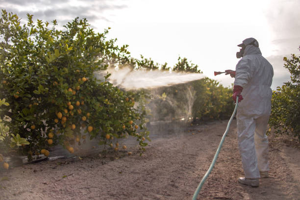 Best Commercial Pest Control Services  in Fabens, TX