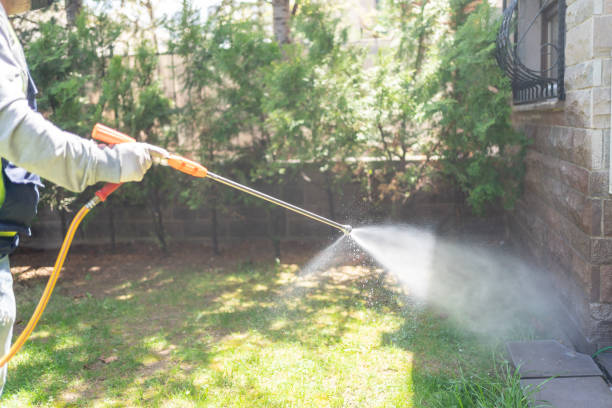 Best Pest Control Treatment  in Fabens, TX