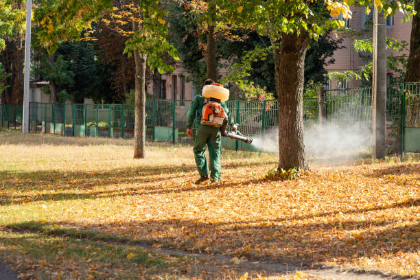 Best Best Pest Control Companies  in Fabens, TX